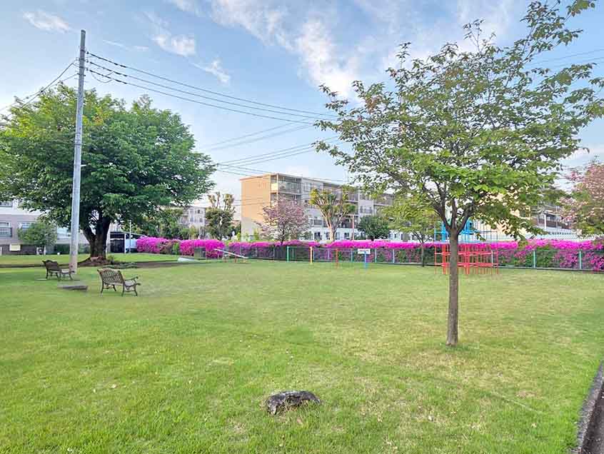 相武台団地2703号棟 写真19