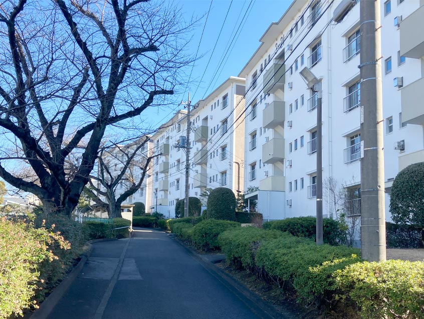 すすき野団地3-21号棟 写真19